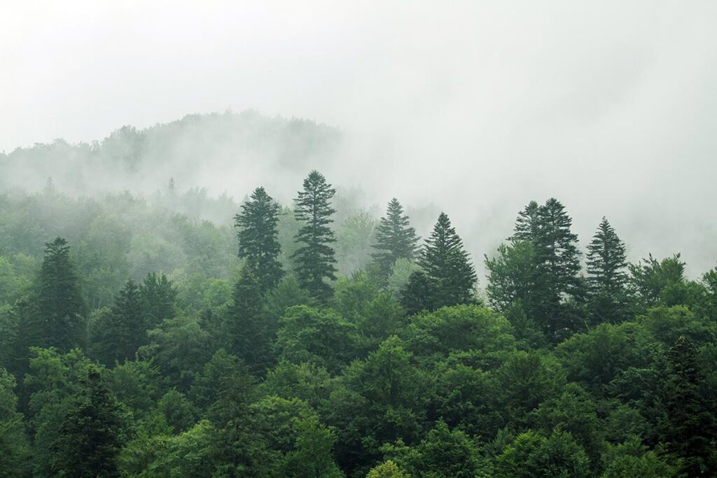 a misty mountain range